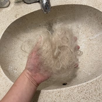 Vintage Park Salon - This is all the hair that literally is falling off my head right now after running my fingers through it - Hair Salons Near Me - Houston, Texas Vintage Park Salon - This is all the hair that literally is falling off my head right now after running my fingers through it - Hair Salons Near Me - Houston, Texas