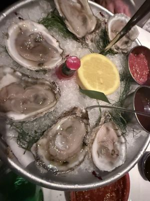 Pop-Up by Rocco by null