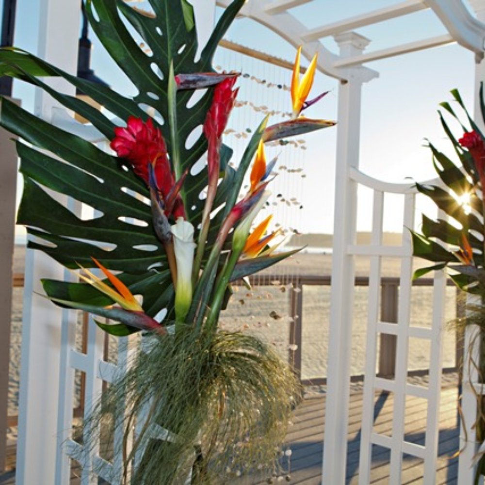 Arch on Breaker's Beach Deck