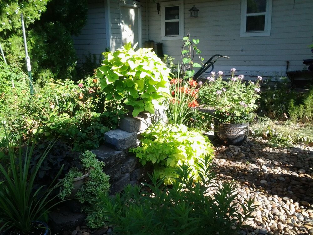 ROSE OF SHARON Updated August 2024 603 E Main St, Norton, Kansas