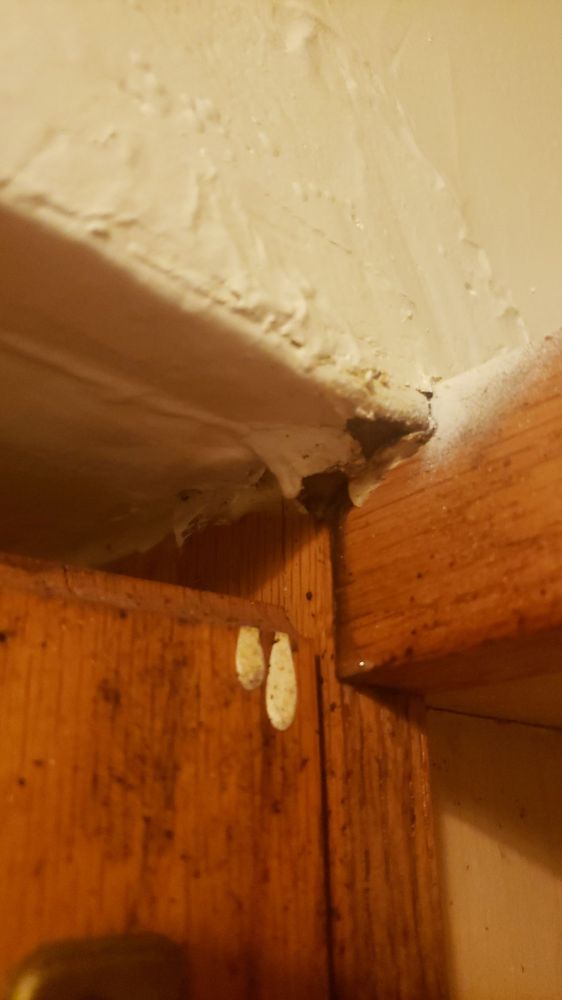 GWYNN CREST APARTMENTS Updated September 2024 1604 N Hilton St