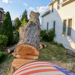 Mueller Arborists