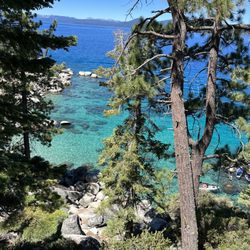 Flume Trail Bikes - View from path