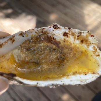 Saltwater Oyster Depot - Baked Yellow curry - Seafood Near Me - Inverness, California Saltwater Oyster Depot - Baked Yellow curry - Seafood Near Me - Inverness, California