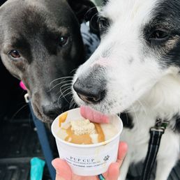 Pup Cup