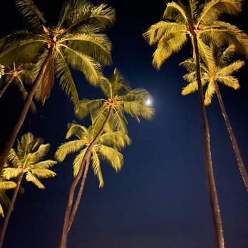 Mauna Kea Luau - Mauna Kea Beach Hotel at night - Performing Arts Near Me - Kohala, Hawaii Mauna Kea Luau - Mauna Kea Beach Hotel at night - Performing Arts Near Me - Kohala, Hawaii