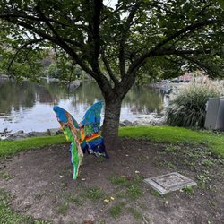 Mindowaskin Park