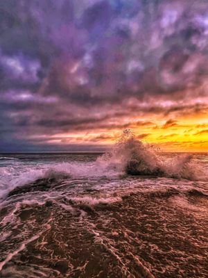 Shaws Cove by null