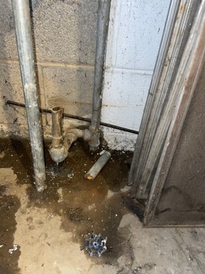 Ireys plumbing Logo