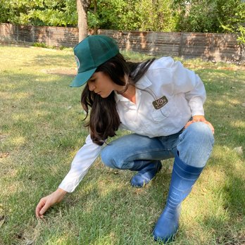 Jo's Pest & Lawn - Lawn care evaluation. - Pest Control Near Me Jo's Pest & Lawn - Lawn care evaluation. - Pest Control Near Me