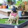 Photo of Patio Pet Life
