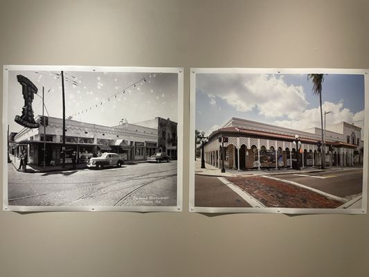 The Florida Museum of Photographic Arts by null