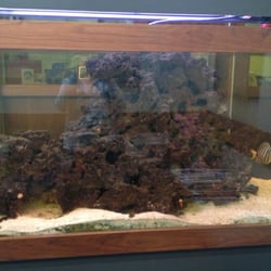 Tasaki TMJ Headache Center - Fish tank!