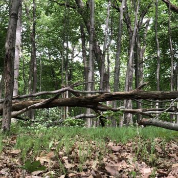 Sharp Park Campground - Campgrounds Near Me - Middleville, Michigan