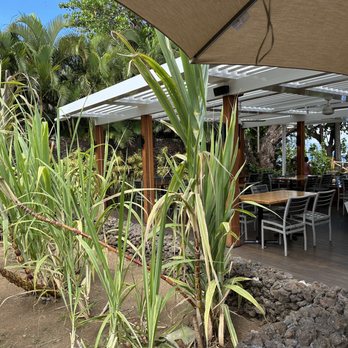 Star Noodle - Asian Fusion Near Me - Lahaina, Hawaii