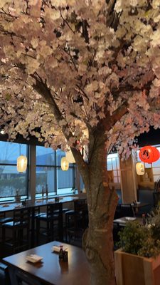 Yuka Sushi Bar by null