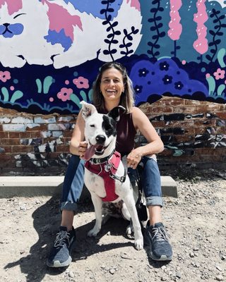 Freak Alley Gallery by null