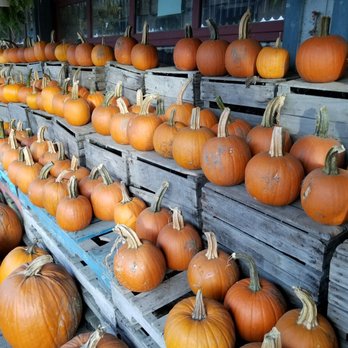 Wright's Farm - Pumpkins at the farmstand - Fruits & Veggies Near Me - Gardiner, New York Wright's Farm - Pumpkins at the farmstand - Fruits & Veggies Near Me - Gardiner, New York