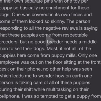 Puppygram - DO NOT BUY PUPPIES HERE!!! - Pet Stores Near Me - Indianapolis, Indiana Puppygram - DO NOT BUY PUPPIES HERE!!! - Pet Stores Near Me - Indianapolis, Indiana