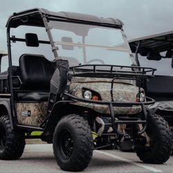 Statesboro Golf Carts - Bad boy buggy