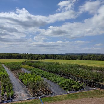 Tree Authority - Tree Services Near Me - Perkasie, Pennsylvania