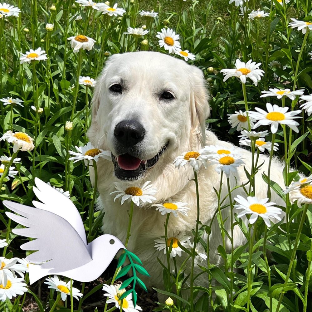 UNIONTOWN VETERINARY CLINIC Updated October 2024 39 Photos & 12