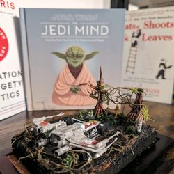 Taylor Street Art and Books - We carry a curated selection of art, books,  and dioramas.
