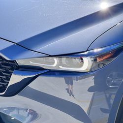 What they are calling "swirl marks" are actually scratches both the clear coat  and paint!