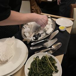 Sea bass meal Sea bass meal