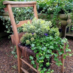 Battersea Flower Station - Planted chair