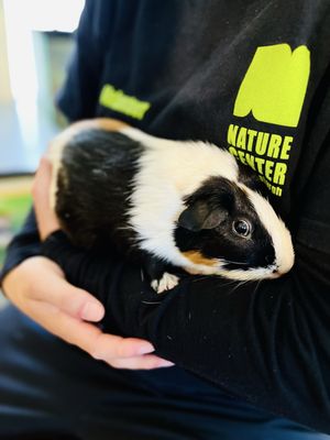 Nature Center at Greenburgh by null