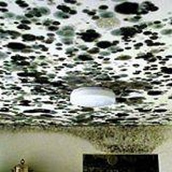 Moldcheck - Moldcheck Inc. logo - Damage Restoration Near Me - Westminster, Colorado Moldcheck - Moldcheck Inc. logo - Damage Restoration Near Me - Westminster, Colorado