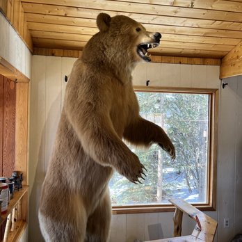 Long Rifle Lodge - a large bear standing on its hind legs - Desserts Near Me - Glacier View, Alaska Long Rifle Lodge - a large bear standing on its hind legs - Desserts Near Me - Glacier View, Alaska