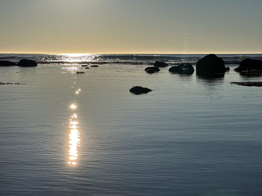 Bowling Ball Beach Trailhead by null