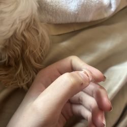 Nail Care