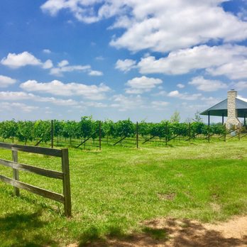 Becker Vineyards - Wine Tasting Room Near Me - Fredericksburg, Texas