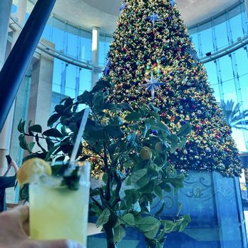 Brio Italian Grille - Sat on their indoor patio area in the middle of holiday decorations, right by the giant mall Christmas tree. - Italian Near Me - Orlando, Florida Brio Italian Grille - Sat on their indoor patio area in the middle of holiday decorations, right by the giant mall Christmas tree. - Italian Near Me - Orlando, Florida