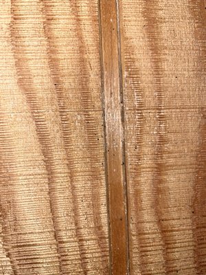 Golden Gate Canyon State Park by null