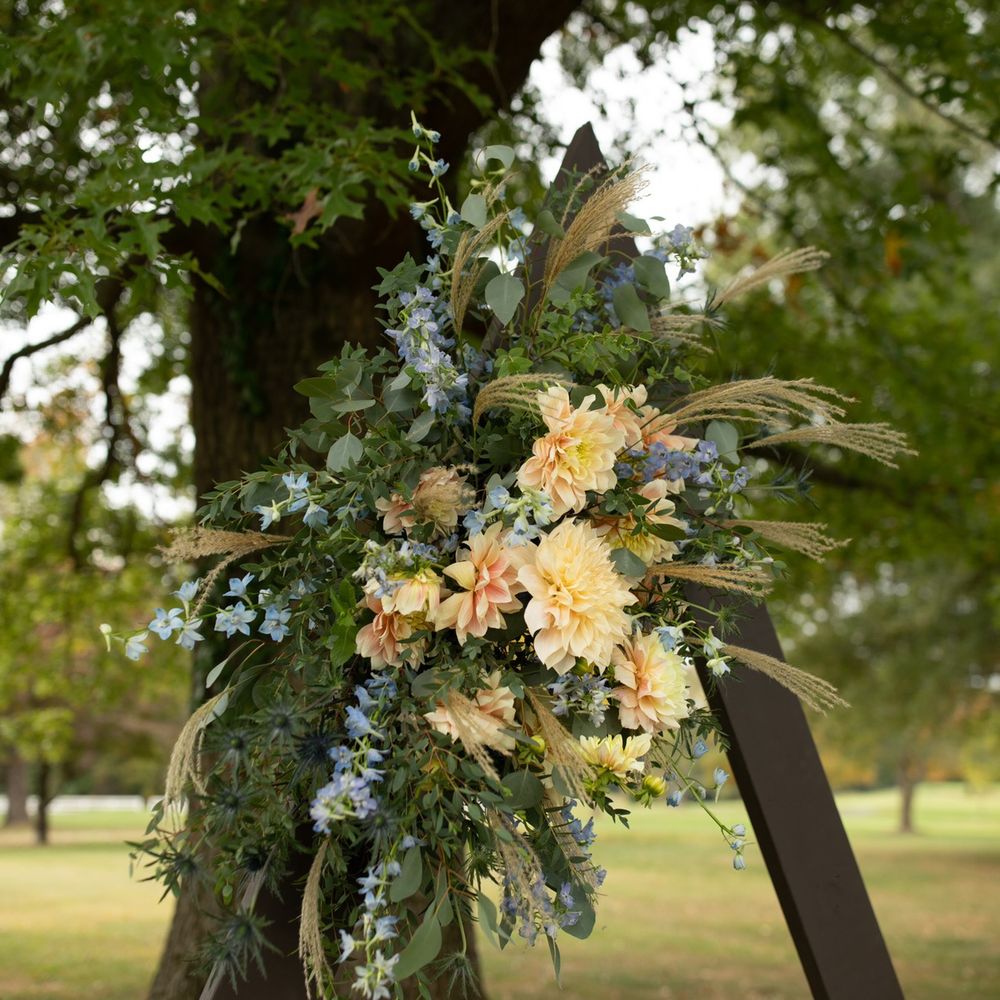 Spirea - Florists Near Me - Louisville, Kentucky