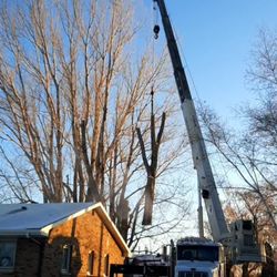 SW Tree Service