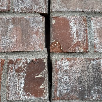 The Critter Crew - Cracks in brick big enough for rats to gain entry. - Wildlife Control Near Me - Dallas, Texas The Critter Crew - Cracks in brick big enough for rats to gain entry. - Wildlife Control Near Me - Dallas, Texas