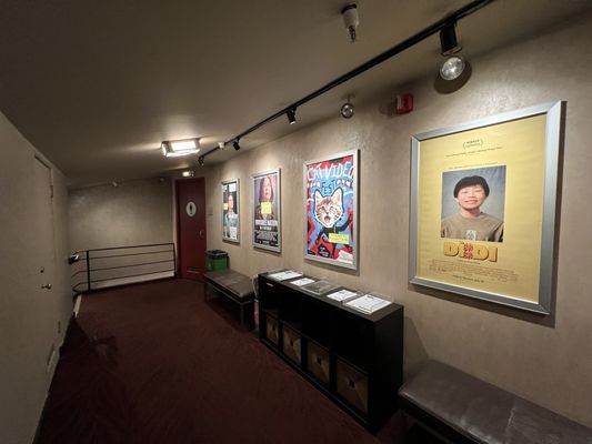 Rialto Cinemas Elmwood by null