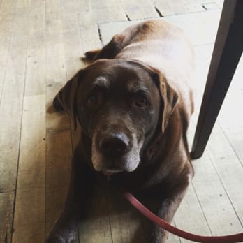 WEST on the Green - Fudge chilling out at West - Breweries Near Me - Glasgow, GLG WEST on the Green - Fudge chilling out at West - Breweries Near Me - Glasgow, GLG