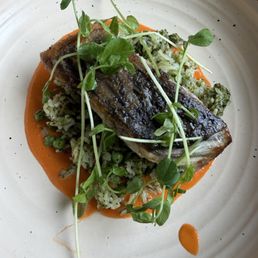 Striped bass with rice, peas and smoked tomato sauce Striped bass with rice, peas and smoked tomato sauce
