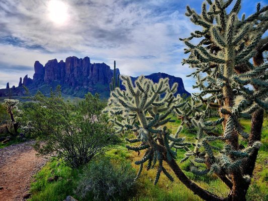 Lost Dutchman State Park by null