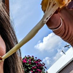 Edon Dairy Treat - Cheese curds