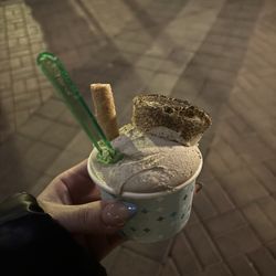 Frost Gelato at the Biltmore - Grande Cup Gelato