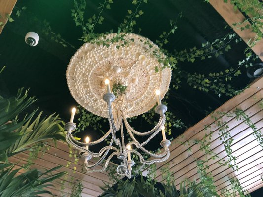 Zona De Cuba by null