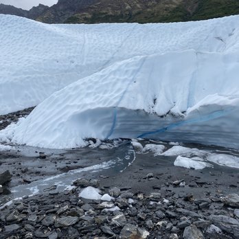 MICA Guides - Tours Near Me - Glacier View, Alaska MICA Guides - Tours Near Me - Glacier View, Alaska