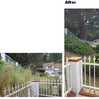 A&S Landscape Maintenance - Before and After - Tree Services Near Me A&S Landscape Maintenance - Before and After - Tree Services Near Me